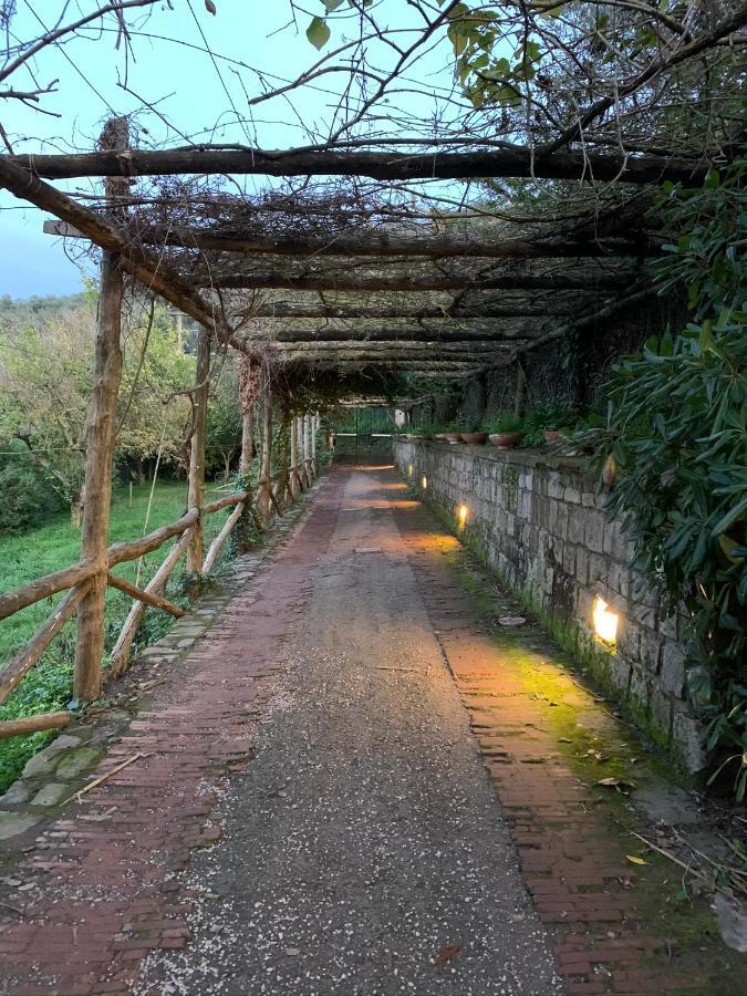 Sunrise Luxury Experience Bed & Breakfast Piano di Sorrento Eksteriør bilde