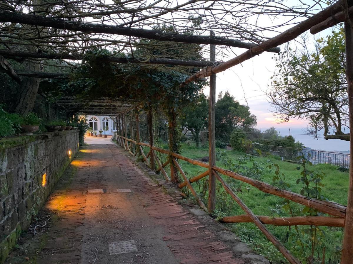 Sunrise Luxury Experience Bed & Breakfast Piano di Sorrento Eksteriør bilde